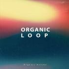 Lel  AiG  Underground Loop - Organic Autumn