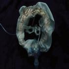 Ship Sket - InitiatriX