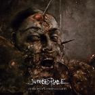 Infected Plague - Horrors Of A Terminal Earth