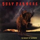 The Beat Farmers - The Pursuit Of Happiness