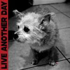 Live Another Day - Life So Far