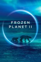 Frozen.Planet.II.S01E04.GERMAN.DL.DOKU.BDRiP.x264-PL3X