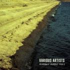 VA-Ambient Addict Vol 1- SV39 -16BIT-WEB-FLAC-2024-BABAS