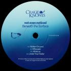 Not Even Noticed-Beneath The Surface- CKNOWEP65 -24BIT-WEB-FLAC-2025-BABAS