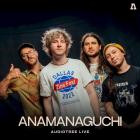 Anamanaguchi - - Anamanaguchi On Audiotree Live  