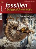 FOSSILIEN - Erdgeschichte erleben 04/2026