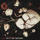 Cas Metah - Lots Of Vain Expectations