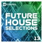 Future House Selections, Vol  13