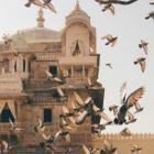Turning Jewels Into Water-Morning Birds And Distant Drums- TRULE034 -24BIT-WEB-FLAC-2026-BABAS