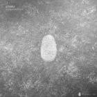 DJ Tuttle - Random Attenuation EP