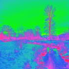 Toxic Scientist - Fractal Teeth Big Steps