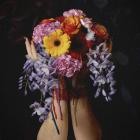 Anomy - Shifting Colors