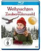 Weihnachten im Zaubereulenwald