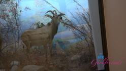 ATKGirlfriends.26.01.29.Summer.Renee.Norcal.9.XXX.1080p.MP4-WRB