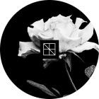 Various Artists - Axiom Veil