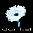Cubbie - Dunkel