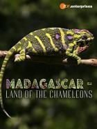 Madagascar.Land.of.the.Chameleons.2012.German.DOKU.WEB.H264-CLASSiCAL