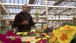 Marktcheck.2023-04-04.GERMAN.DOKU.HDTV.x264-ConNi