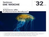 Spektrum Die Woche 32/2024