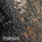 Delta Division-Dead Channel Rituals- ARX001 -24BIT-WEB-FLAC-2026-BABAS