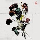 Shinedown - EI8HT