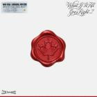 VA - BOI-1DA X Canada Soccer Present: WHAT IF IT ALL GOES