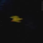 Jen Cruz - Organic Connections