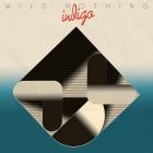 Wild Nothing-Indigo-24BIT-WEB-FLAC-2018-TiMES