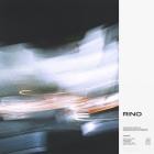 RINO - Running in Pairs