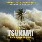 David Schweitzer - Tsunami: Race Against Time (Original Series Soundtra