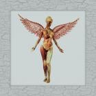 Nirvana-In Utero (Remastered 30th Anniversary Super Deluxe Edition)