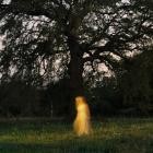 Maju - Still Becoming