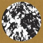 Skudge - Quasi / Parallel