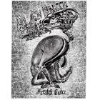 Alien Birth - Freaks Choice