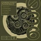 Unbekannt - Primordial Beats