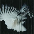 Scaler-Endlessly- ACRECD18 -24BIT-WEB-FLAC-2025-BABAS