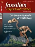 FOSSILIEN - Erdgeschichte erleben 01/2025