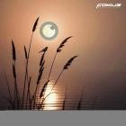 Wez Walker - Spiritual Healing EP