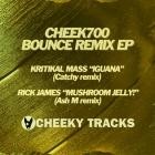 Kritikal Mass  Rick James - Bounce Remix EP