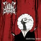 Ad Unum Omnes - Shattering Bones