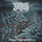 Bitter Loss - Oblivion In Ceremonial Void