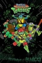 Die Abenteuer der Teenage Mutant Ninja Turtles - Staffel 1