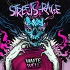 Streets Of Rage - Waste Well