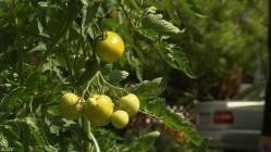 Vermisst.2007.S06E02.German.DOKU.WEBRiP.X264-GWD