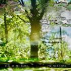 Railroad Earth - Will of the Water