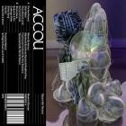 Accou - Rhyme Nor Reason