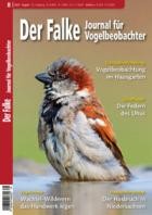 Der Falke - Journal fuer Vogelbeobachter 08/2025
