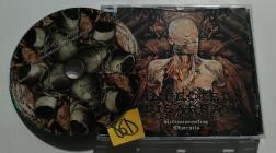 Infected Disarray-Redisseminating Obscenity- WASTED09CD-PER249CD-BLP0429 -REISSUE REMASTERED-CD-FLAC-2026-86D