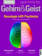Spektrum Gehirn und Geist 06/2026