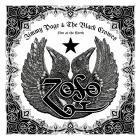 Jimmy Page And The Black Crowes - Live At The Greek